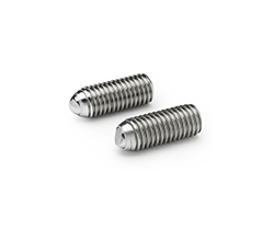 GN 605-NI-Grub screws